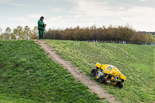 Test: De 5 bedste robotplæneklippere i 2024